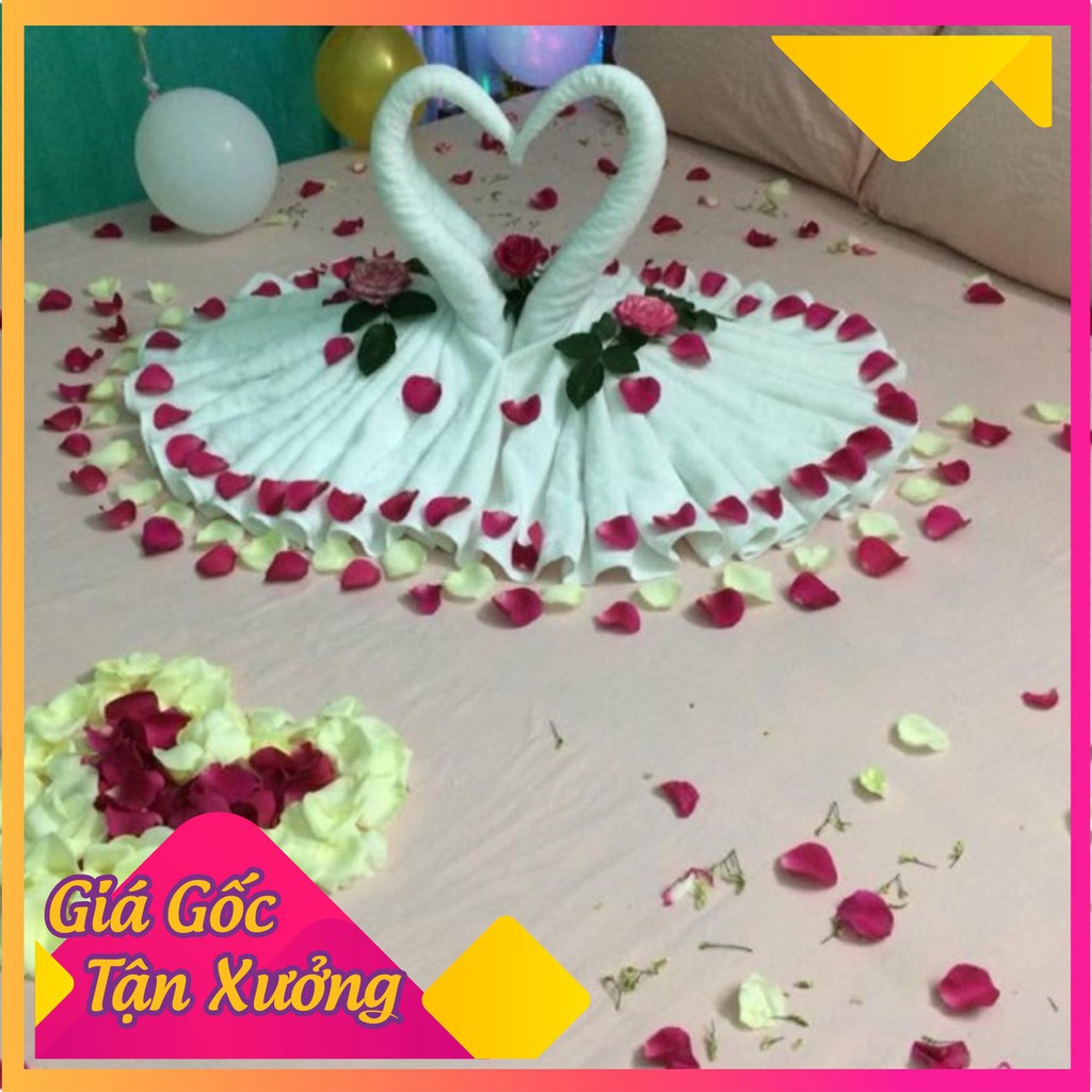 Khăn tắm trắng gấp Thiên Nga phòng cưới Hàng xưởng đẹp