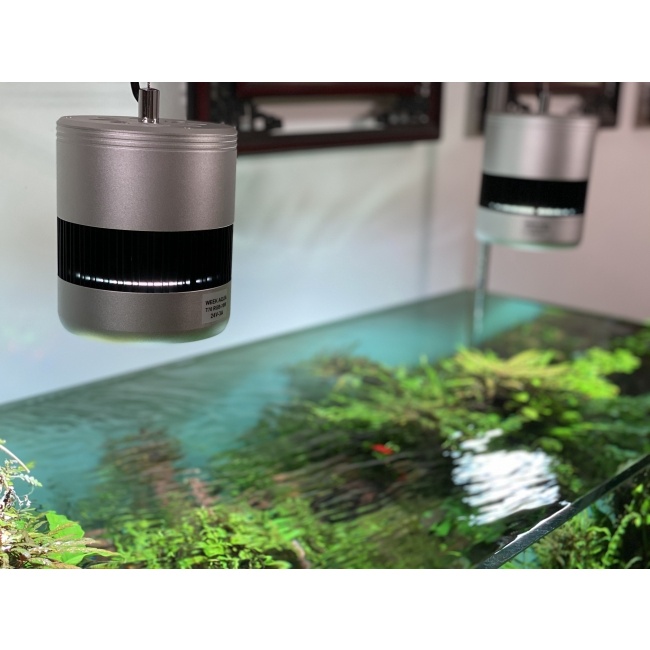 Đèn Week T70 RGB lên màu cá và cây cực tốt