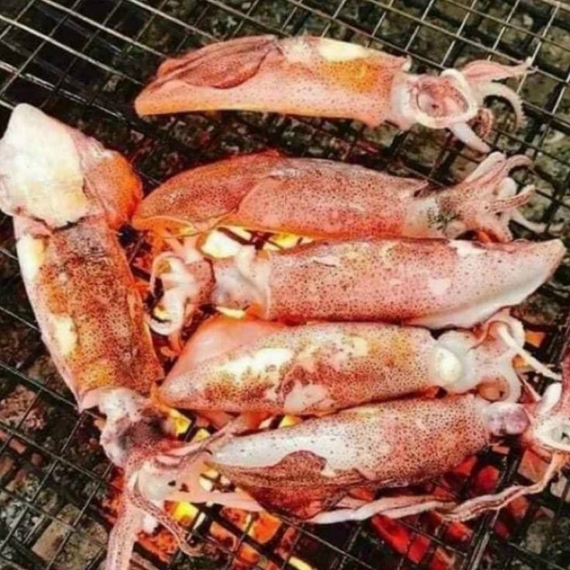 Mực ống siêu ngon khay 1kg ❤️ SHIP HOẢ TỐC❤️ giòn ngọt