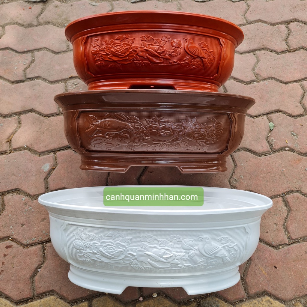 Chậu bonsai mini nhựa, chậu bonsai nhựa hình ovan trồng cây phù hợp cho các loại cây bonsai, cây mini Minh Hân Garden