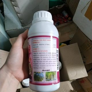 Phân bón Vitamin B1 Thái Lan chai 500ml