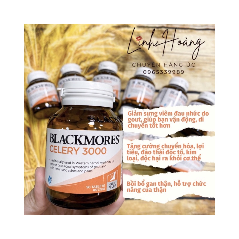 Viên uống hỗ trợ điều trị bệnh Gout