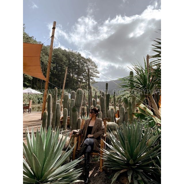 ÁO BLAZER Dài CARO NÂU DORY&PONY RETRO CASUAL JACKET – AK062 (Hàng Công Ty) | BigBuy360 - bigbuy360.vn