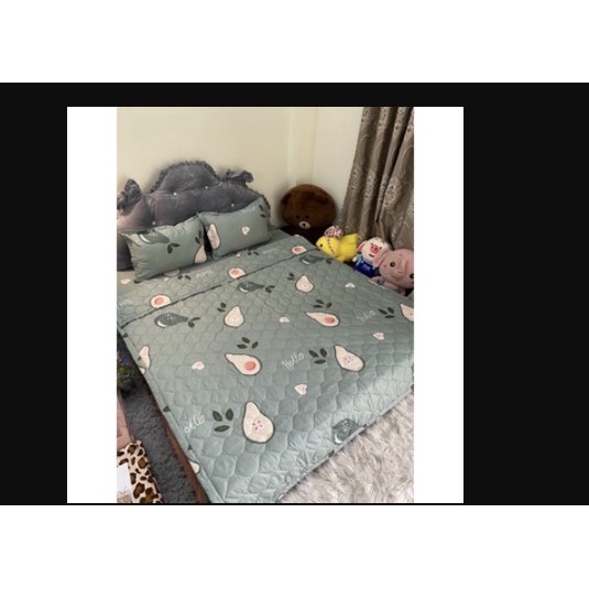 Combo chăn hè ga gối kèm vỏ gối ôm 5 món 1m6x2m-chọn mẫu ở bài đăng