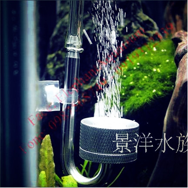 Cốc sủi co2 inox bạc