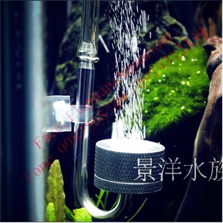 Cốc sủi co2 inox bạc