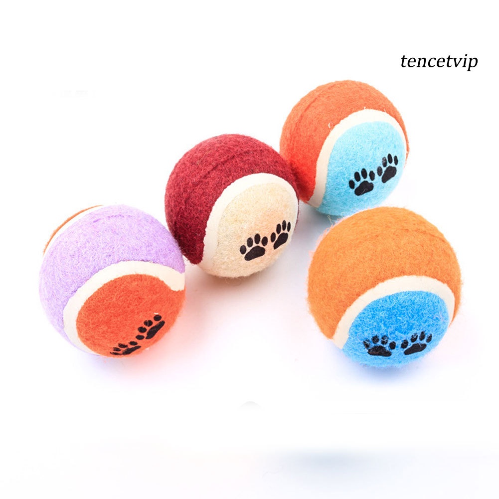 Bóng tennis đồ chơi huấn luyện thú cưng đẹp mắt
