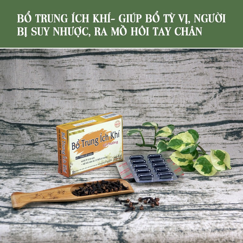 Combo 6 Hộp Bổ Trung Ích Khí- Giúp bổ tỳ vị