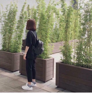 Quần Baggy. Quần Basic Pants