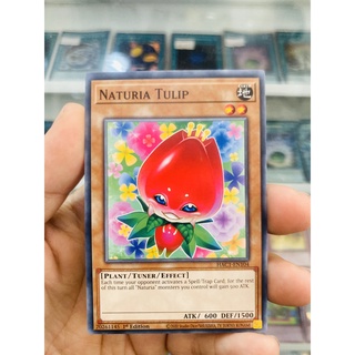 Thẻ bài yugioh! mã hac1-en104 - naturia tulip - common - 1st edition