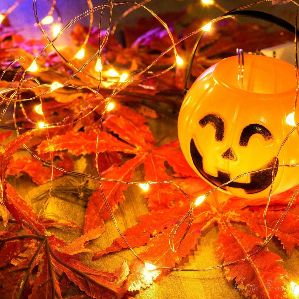 Dây đèn LED 50 bóng 5M lõi đồng sử dụng pin trang trí phòng ốc/tiệc tùng/lễ hội/Giáng Sinh/Halloween