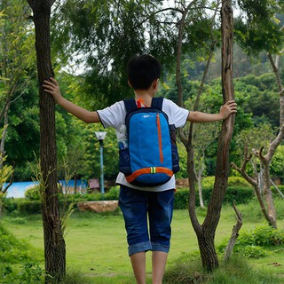 Balo du lịch đi du lịch mùa Xuân Du lịch học sinh tiểu học