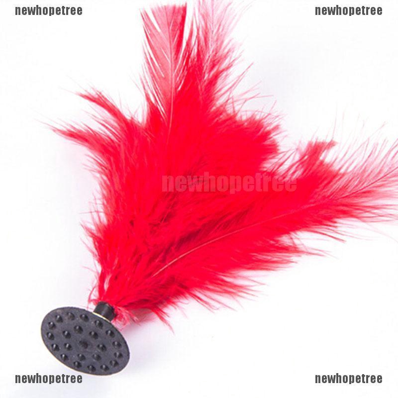 Cầu đá lông sặc sỡ