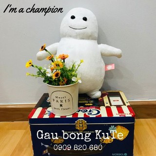 Gấu bông - Mỡ