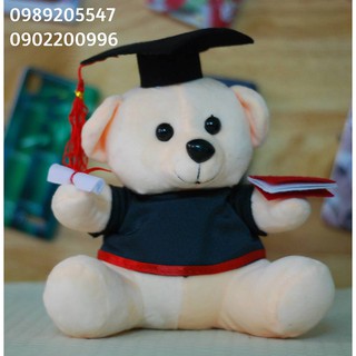Gấu cử nhân lẻ giá sỉ