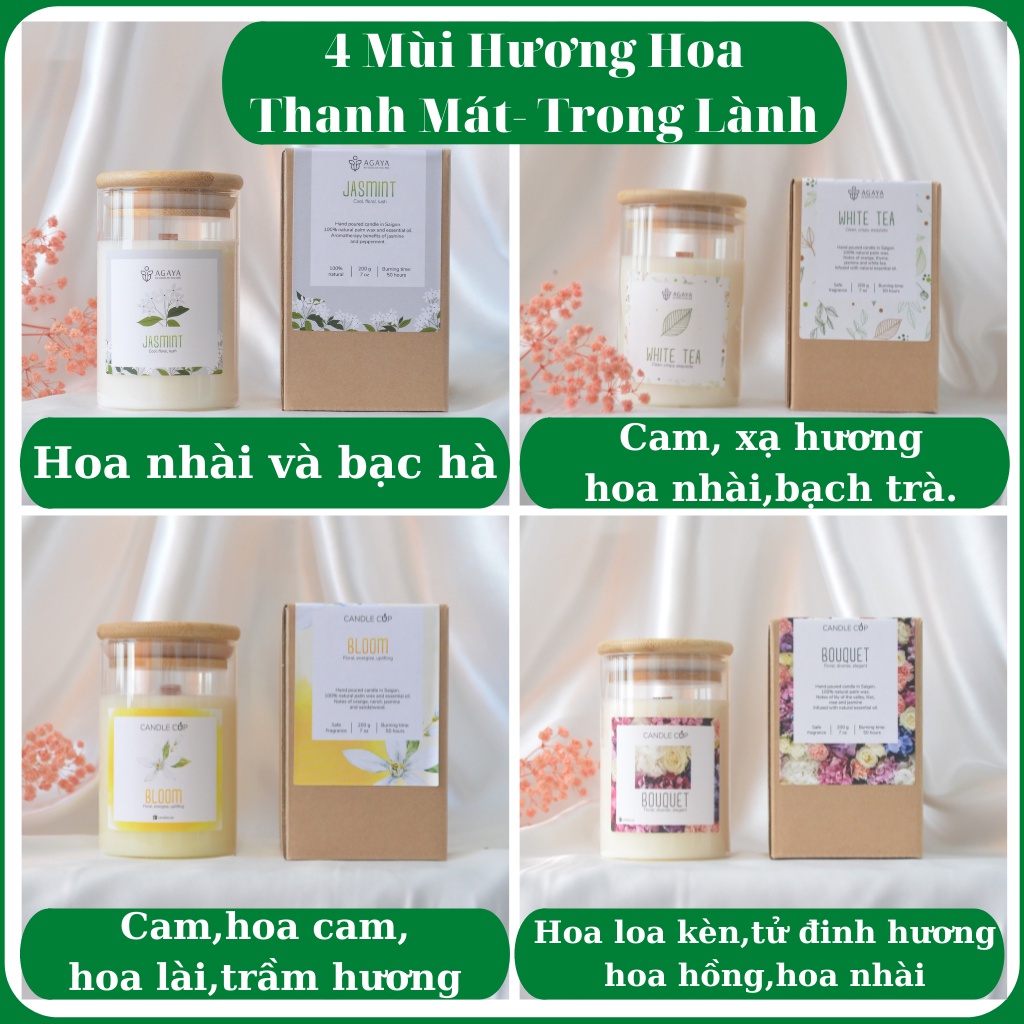 Nến Thơm Thiên Nhiên Candle Cup AGAYA - 100% Từ thiên nhiên - An toàn cho người sử dụng