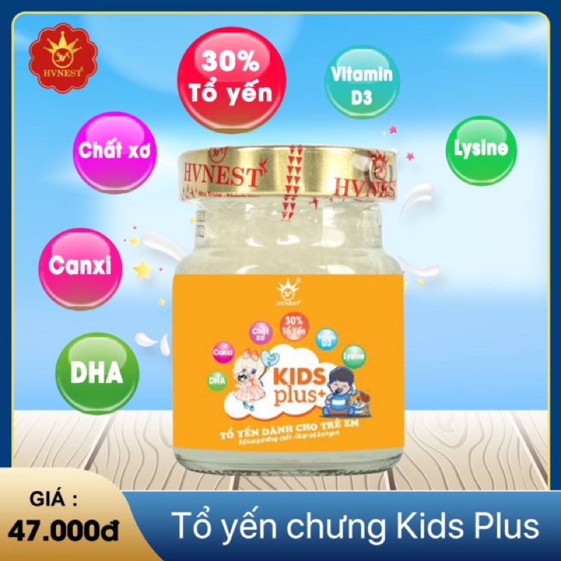 Set 10 hũ yến sào cao cấp Hoàng Việt | BigBuy360 - bigbuy360.vn
