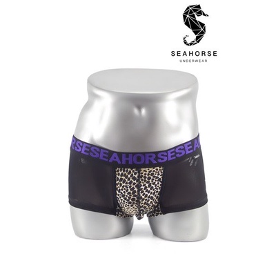 Quần Seahorse LX023