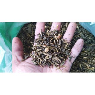 Trà Đá Khoa Phát (sâm dứa, lài) – Thơm Ngon Tự Nhiên, Đặc Sản Bảo Lộc – Dành Cho Quán Ăn,Quán Cà Phê