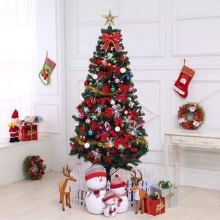 Cây thông Noel