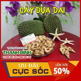 Quả Dứa Dại 500g - Dạng Tươi Và Khô - Thảo Dược Uy Tín