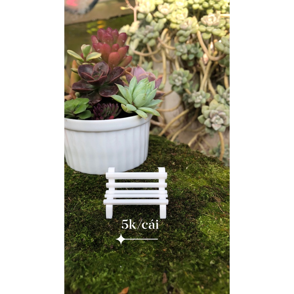 Phụ kiện sen đá các loại siêu dễ thương