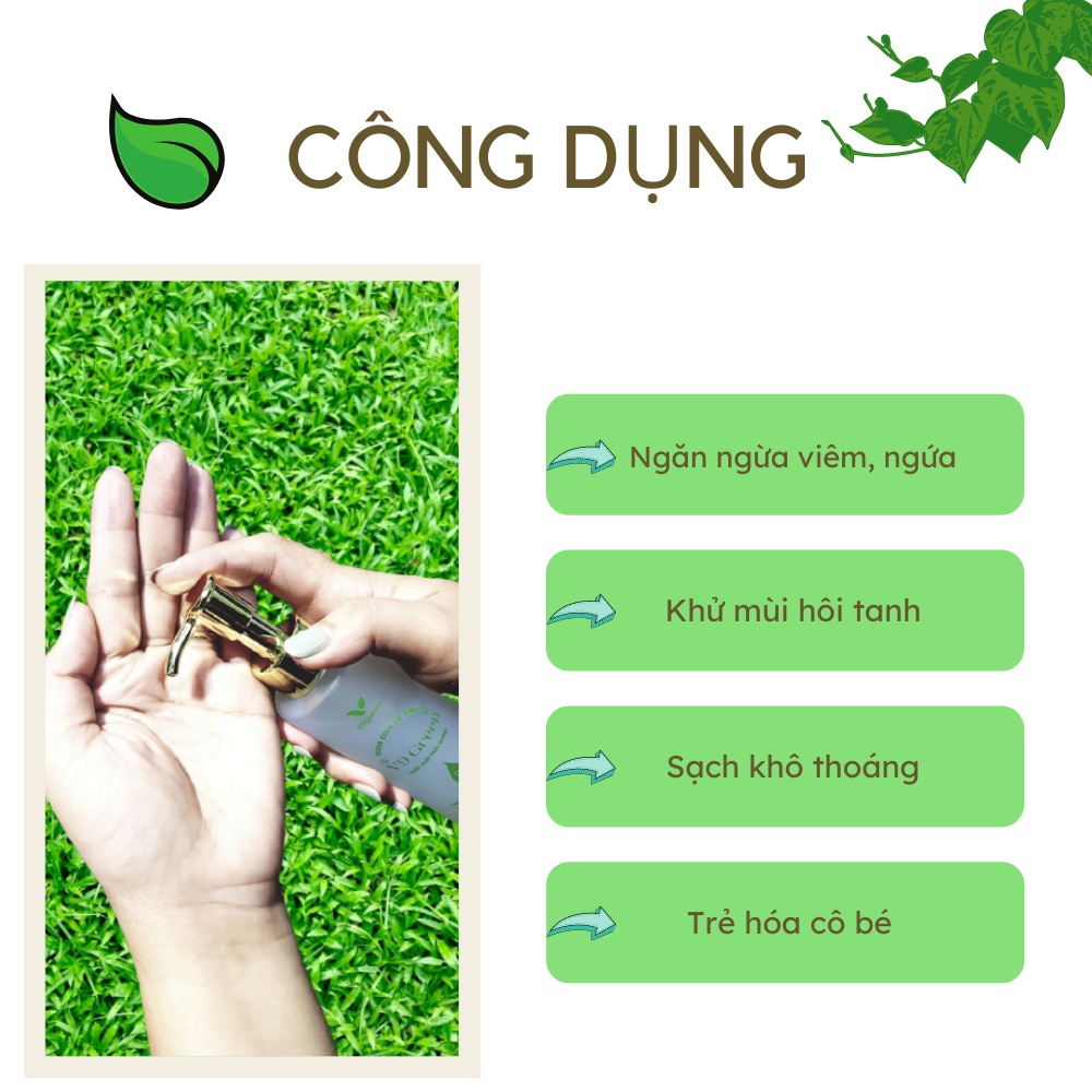 Dung Dịch Vệ Sinh Phụ Nữ V9Queen, Dung Dịch Vệ Sinh Mẹ Bầu Trầu Không, NANO Bạc, Tía Tô, Ngừa Viêm Giảm Ngứa V9 Green