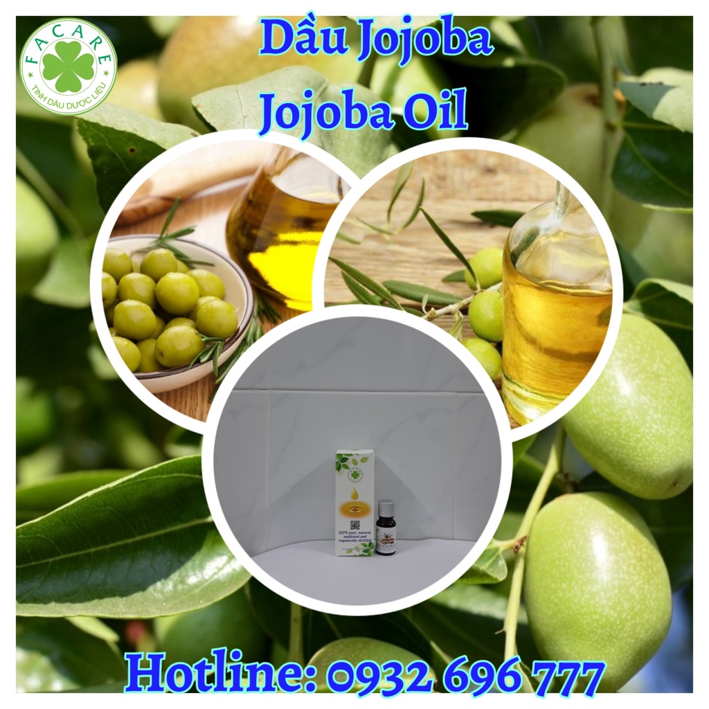 Dầu Jojoba – Jojoba Oil - 100ml