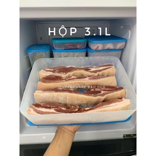 hộp trữ đông 3.1l tupperware