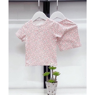 Bộ cotton cộc tay