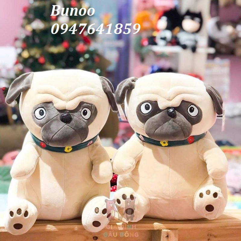 Chó Bông Pug Mặt Xệ Đeo Vòng Cổ Kích Thước 25-30-40-50cm Bunoo shop