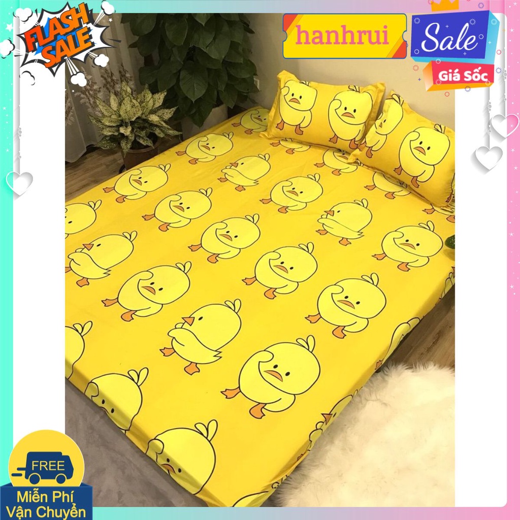Ga trải giường 1m6 bọc đệm 10cm,có chọn mẫu HCM-MẪU VỊT VÀNG