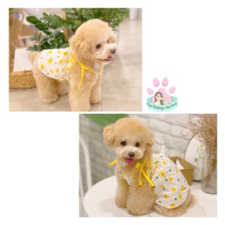 Váy đầm thiết kế cho chó mèo, thú cưng