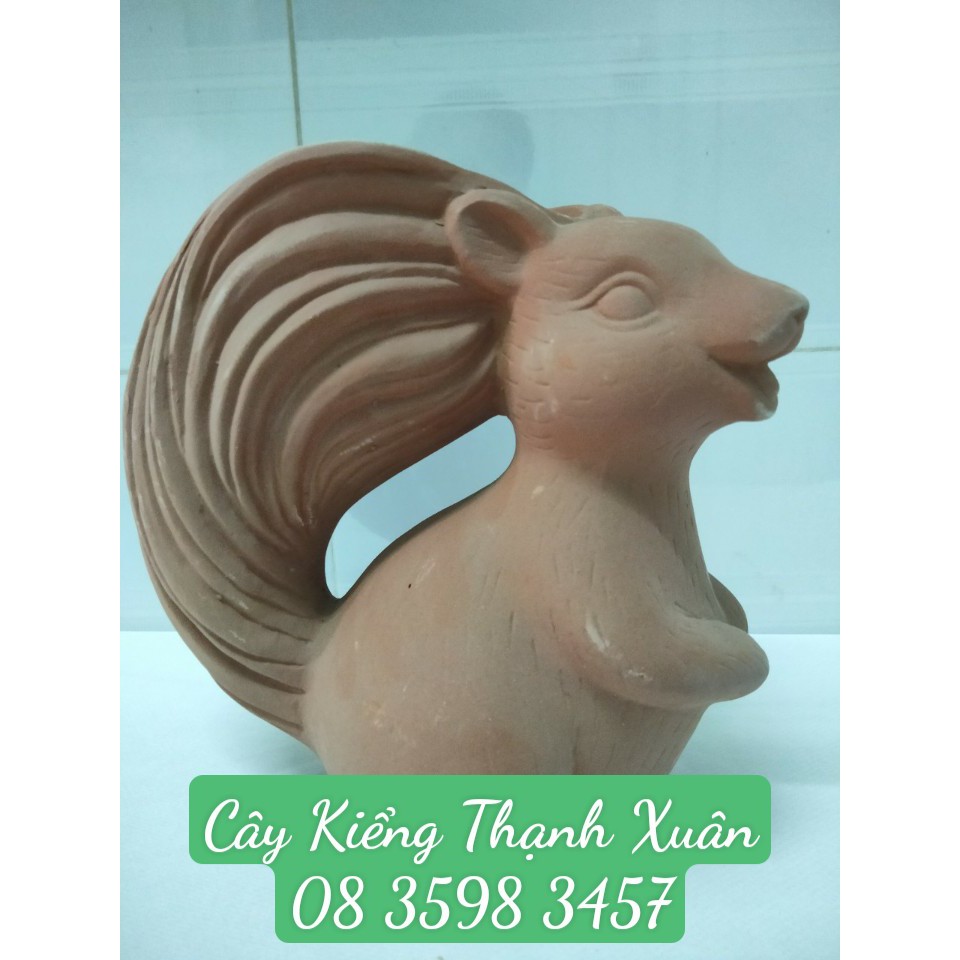 Chậu trồng cây, sen đá xương rồng hình Sóc Con đáng yêu, kích thước Cao19x Rộng19cm, độ rộng miệng chậu 7cm