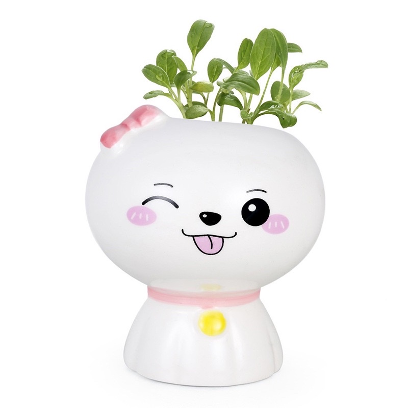 Chậu kiểng mini trang trí bàn trà/phòng khách - tặng kèm hạt giống