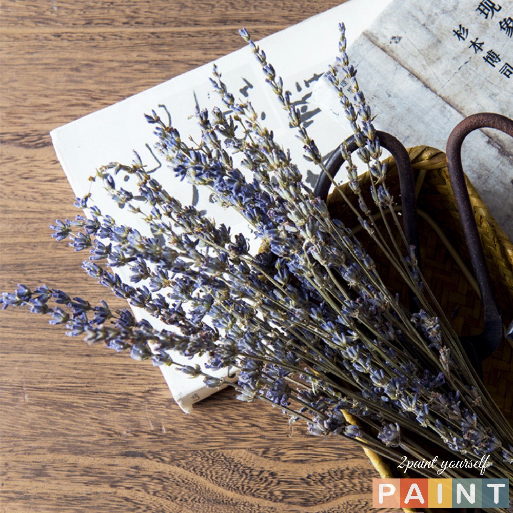 Bó 30 cành hoa lavender cao 25-30cm, Hoa khô trang trí oải hương thơm ngát (cắm đươc 1 lọ thủy tinh để bàn)