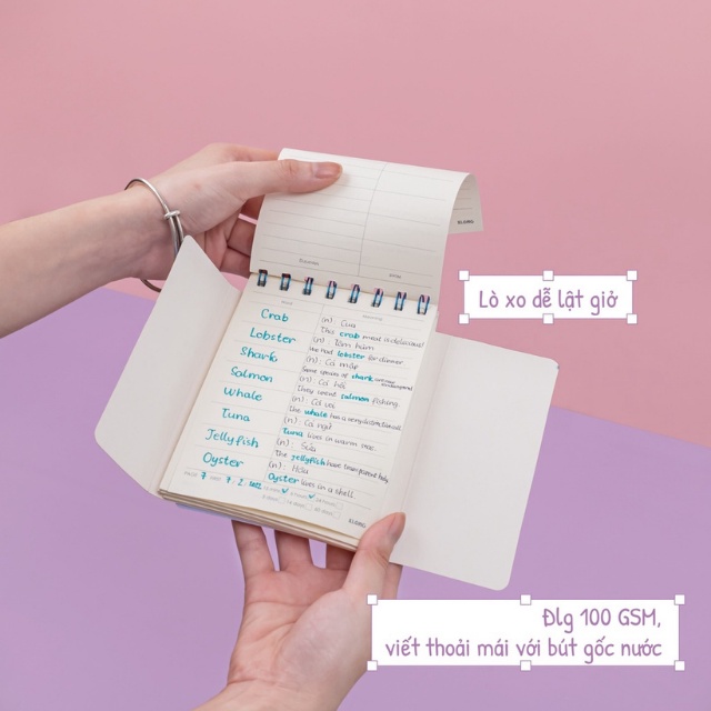 Sổ từ vựng Klong Word Study A6 120 trang bìa Pastel MS 916 vở học từ mới ngoại ngữ