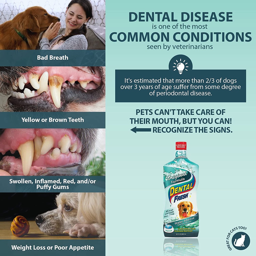DENTAL FRESH - DUNG DỊCH VỆ SINH CHO THÚ CƯNG chai 500ml