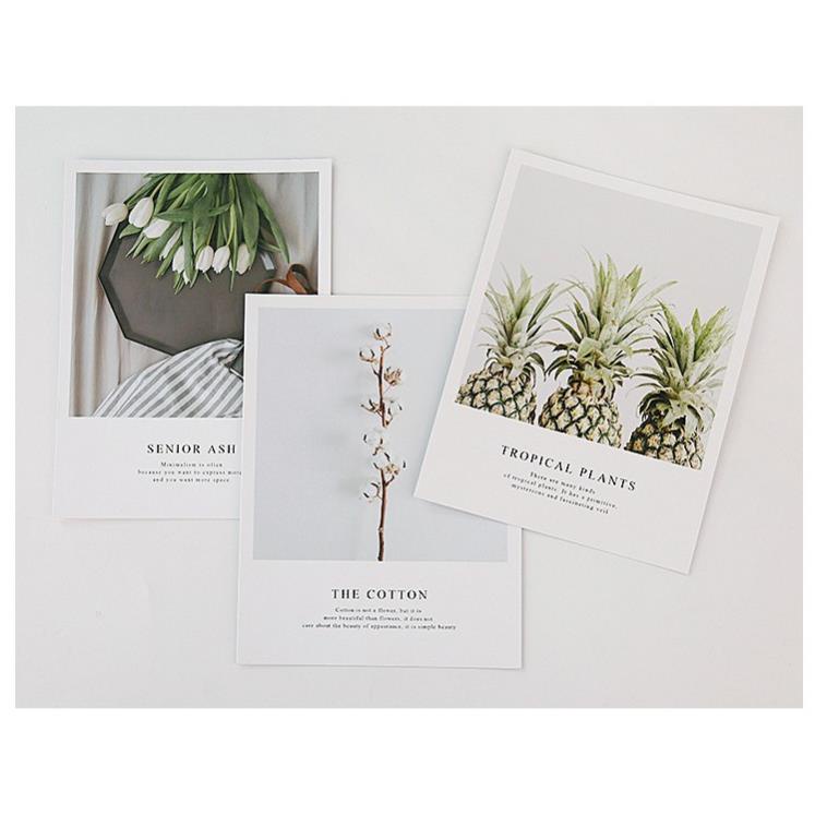 Bìa tạp chí chụp ảnh, Báo Chụp Hình Lookbook Thời Trang Đẹp, Đồ Decor