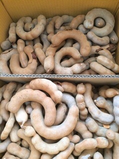 Hoa quả sấy khô