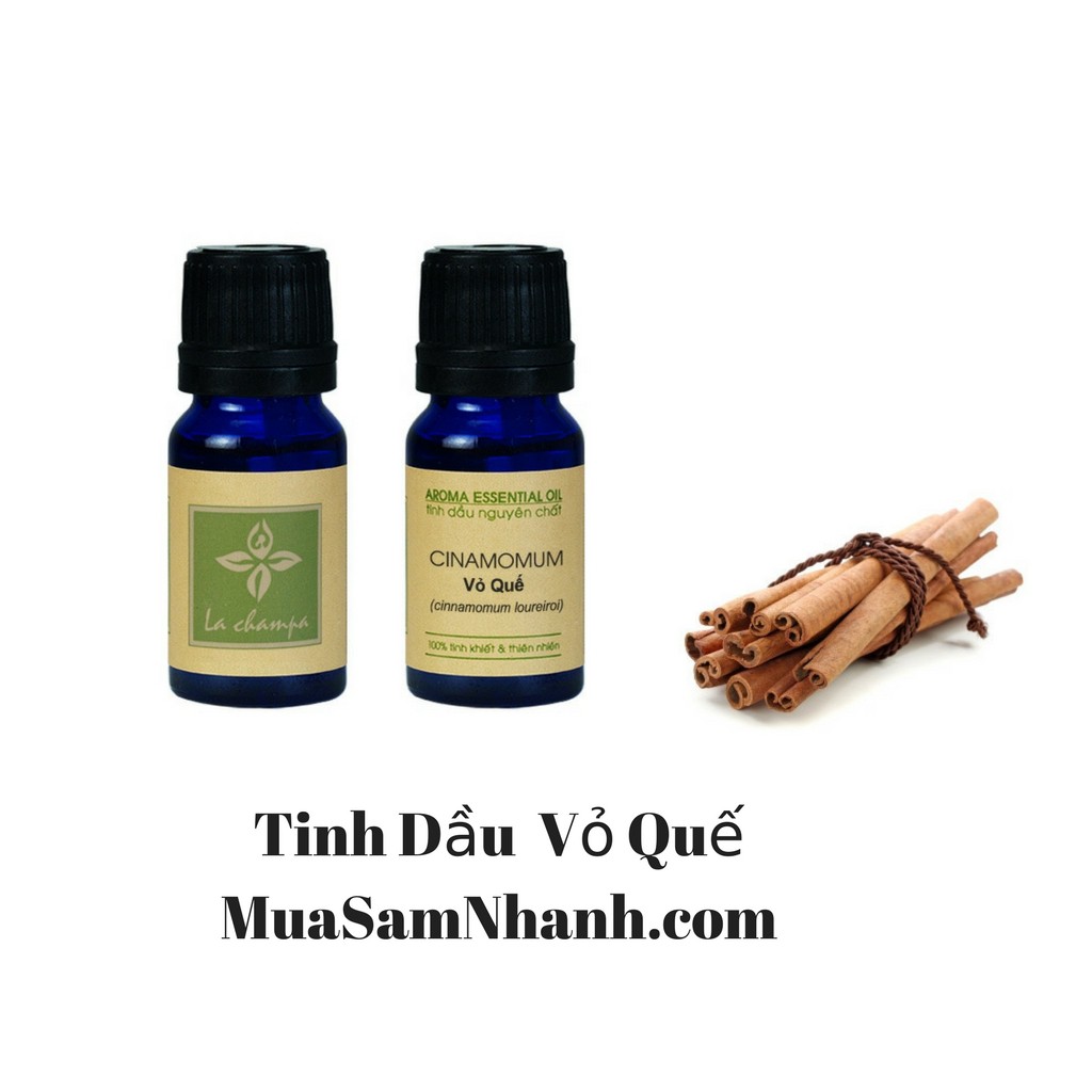 Tinh Dầu Quế, Tinh Dầu Vỏ Quế La champa - MSN181292