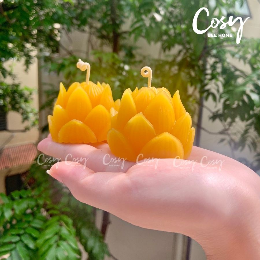 Nến Sáp Ong Hoa Sen Búp, nến cúng phật, tu tập, an toàn không khói, thơm dễ chịu, thời gian cháy 11-12 giờ,cosy bee home