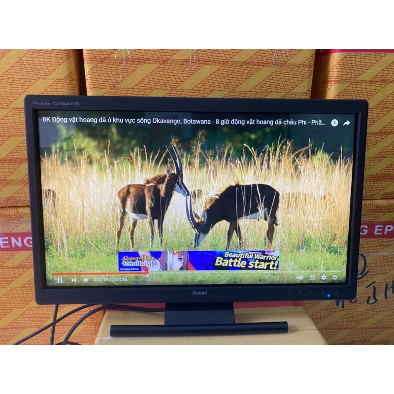 Màn hình 24 inch IIyama thương hiệu Nhật Bản LED full HD