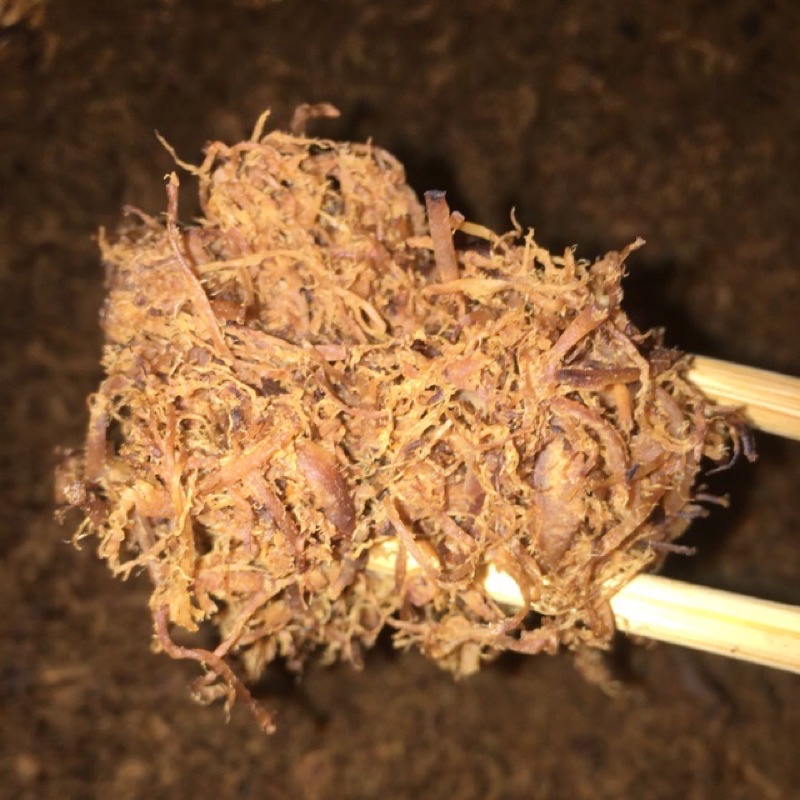 Ruốc nấm cô Dung