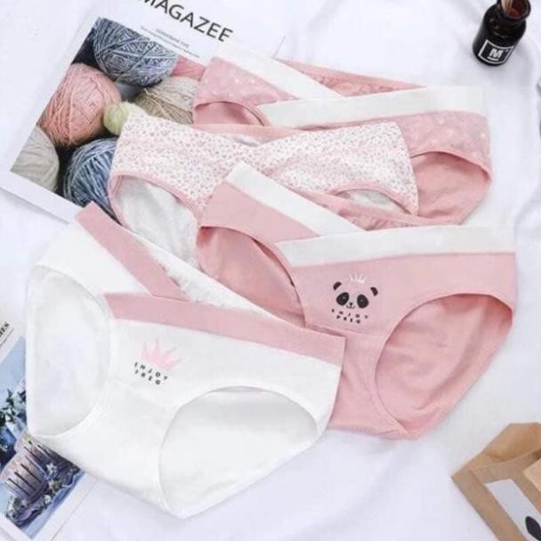 Sét 4 quần lót bầu cotton cao cấp