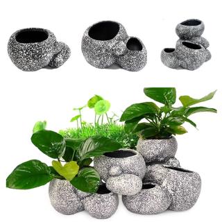 Chậu cây hình viên đá trang trí bể cá cảnh