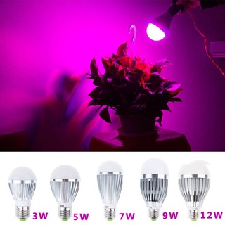 Đèn led trồng cây 6W