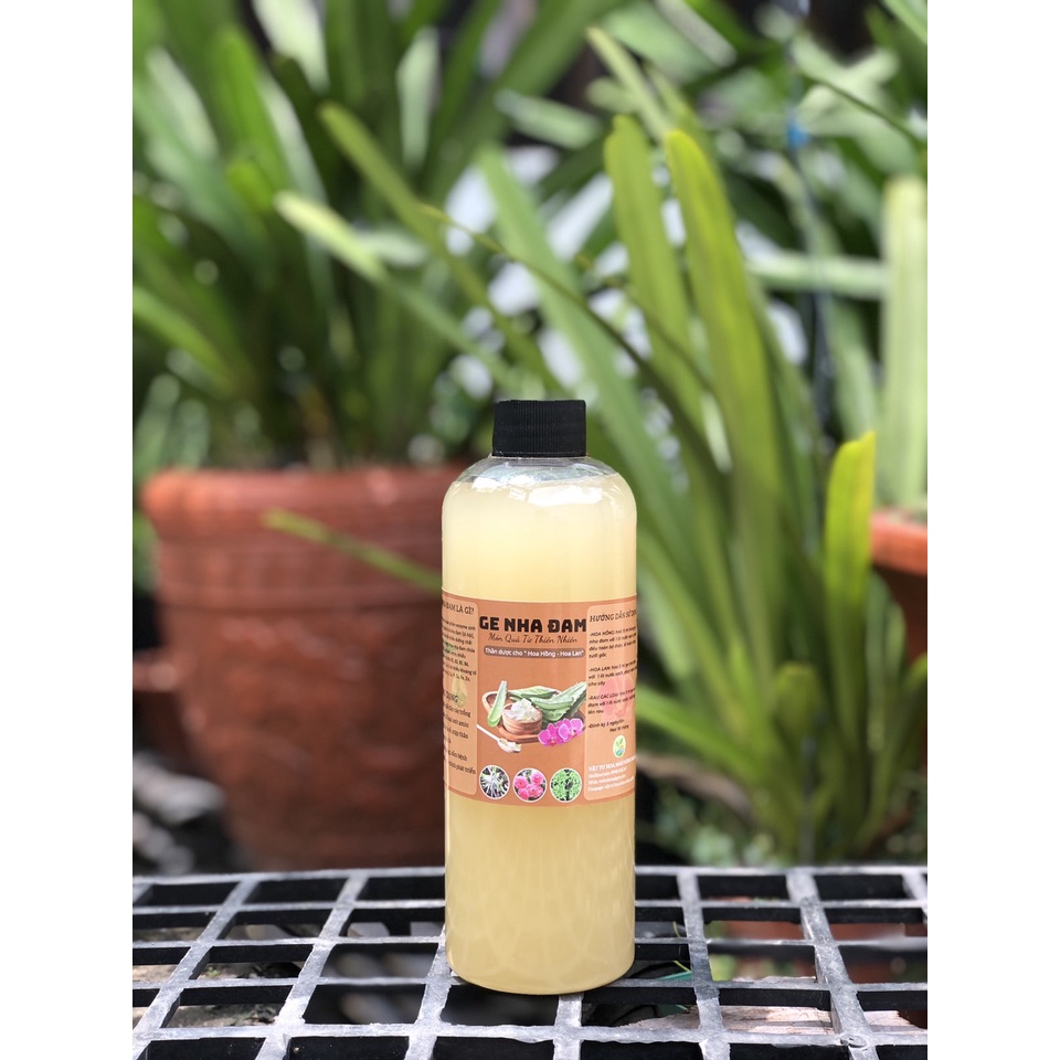 GE Nha Đam- Phân bón hữu cơ và làm mát giải độc cây, Thần Dược Cho Cây Trồng -500ml