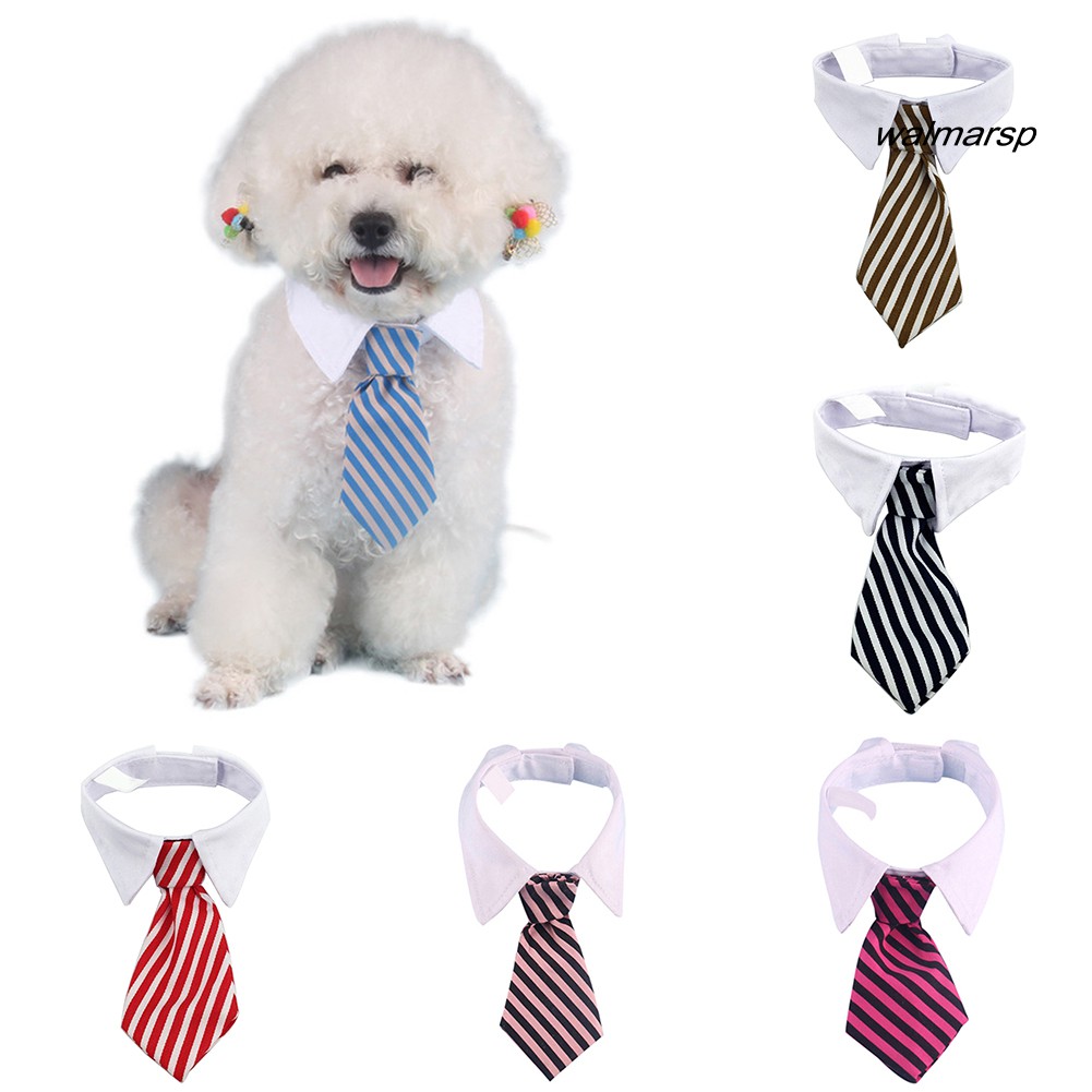 Vòng cổ cà vạt xinh xắn cho cún cưng