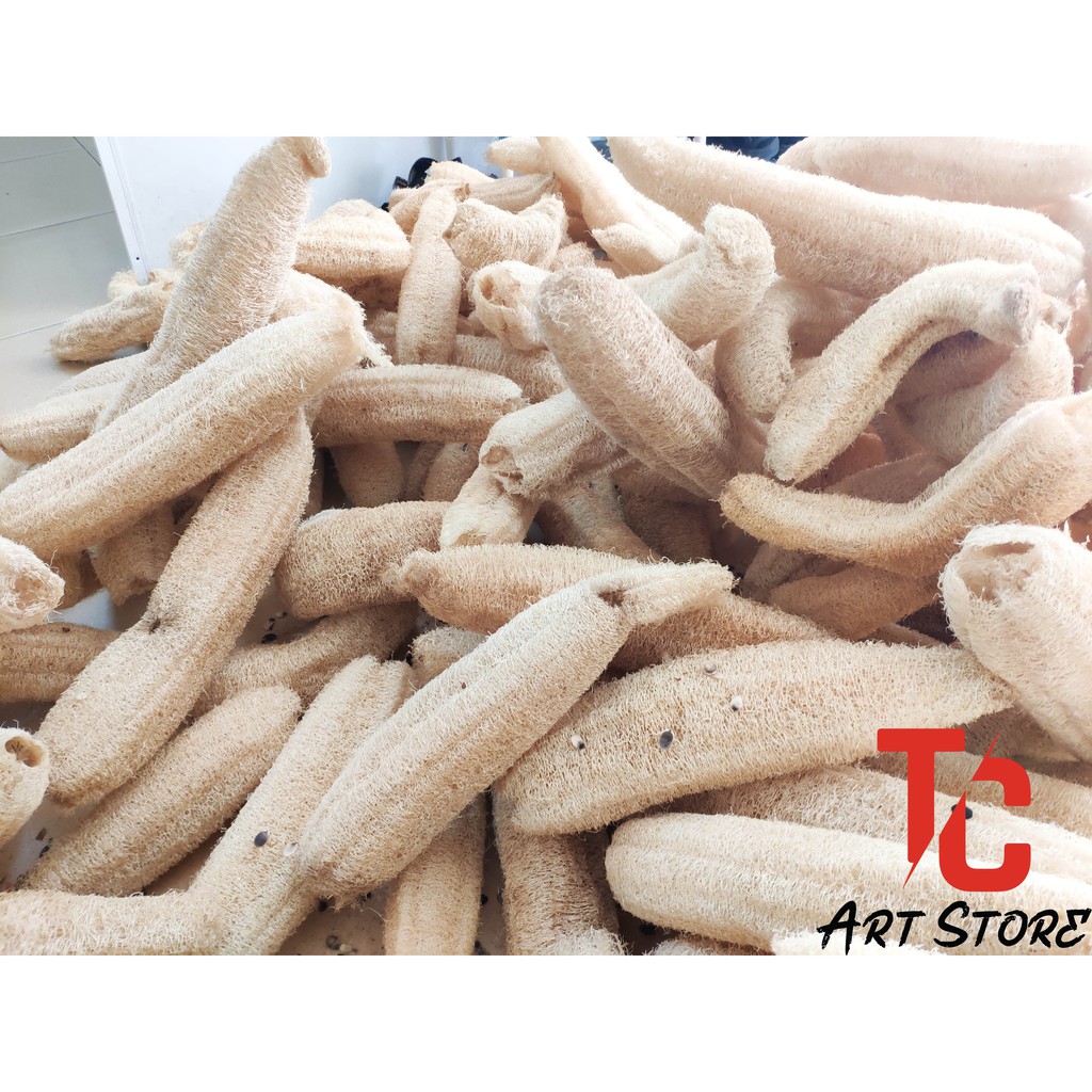 Xơ Mướp Tự Nhiên